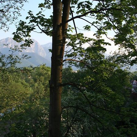 Apartament Cicha Woda Zakopane Room photo