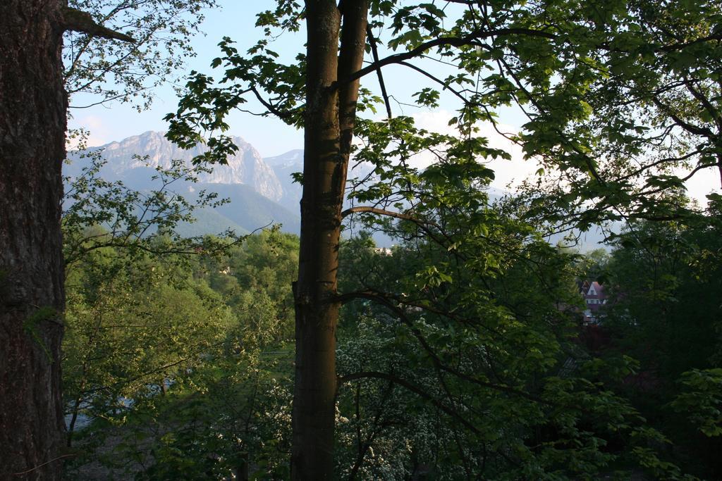 Apartament Cicha Woda Zakopane Room photo